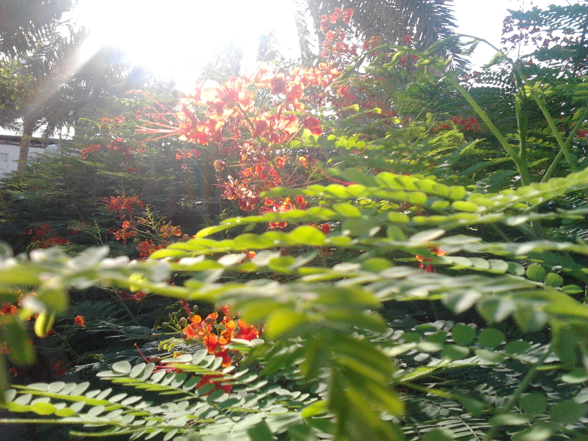 2012-09-24_07_37_46