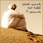 YA SNEEN 3MRII