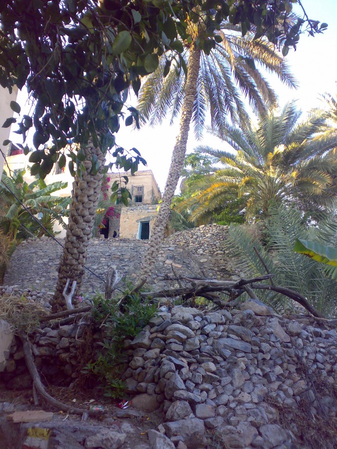 الداخلية .. 2