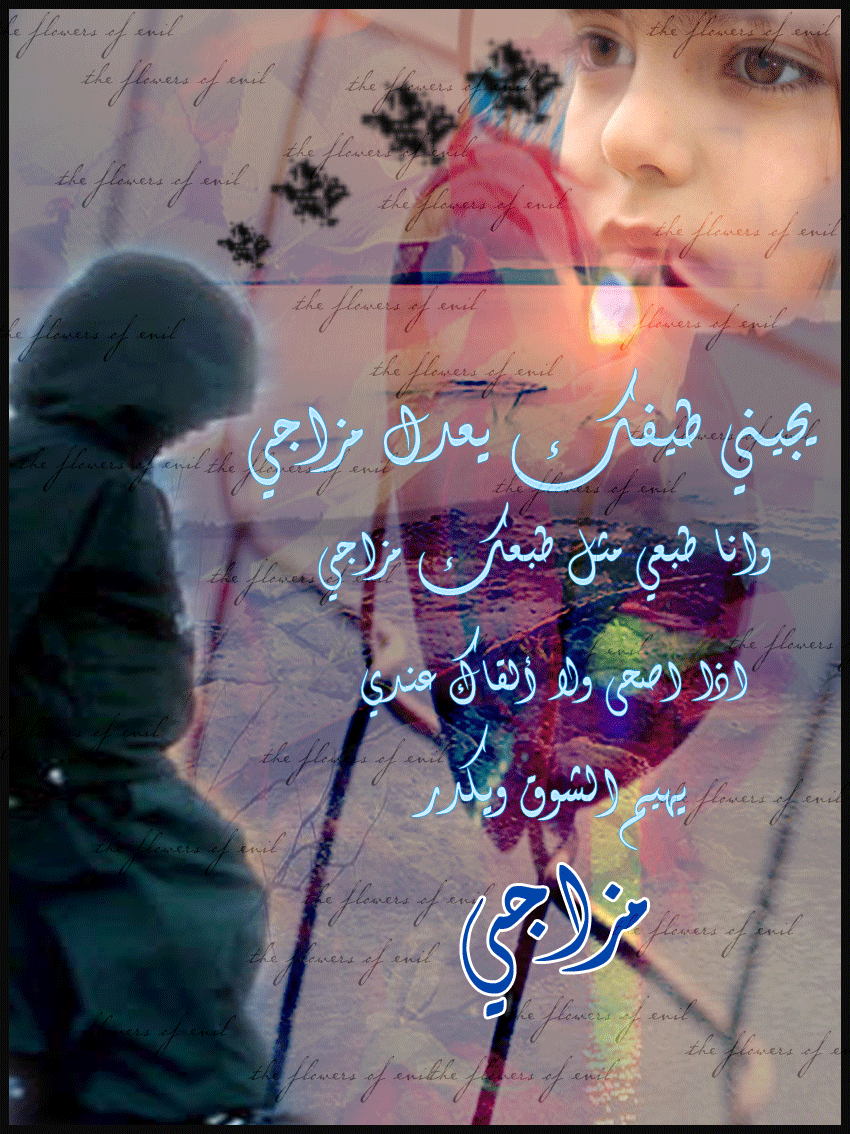 new-shouk-alward