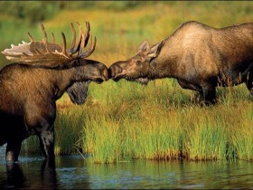 image0131