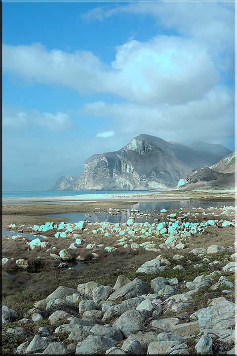 صور من ابداع اعضاء عمان فوتو