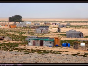 صور من ابداع اعضاء عمان فوتو