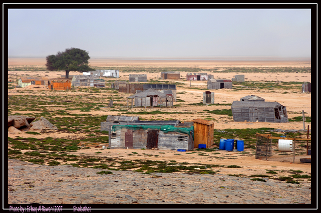 صور من ابداع اعضاء عمان فوتو