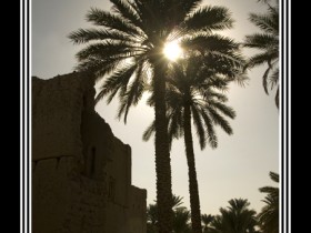 صور من ابداع اعضاء عمان فوتو