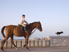 صور من ابداع اعضاء عمان فوتو