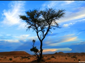 صور من ابداع اعضاء عمان فوتو