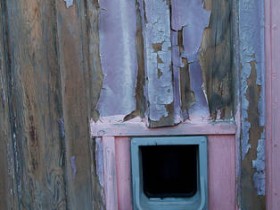 صور منوعة من الإنترنت