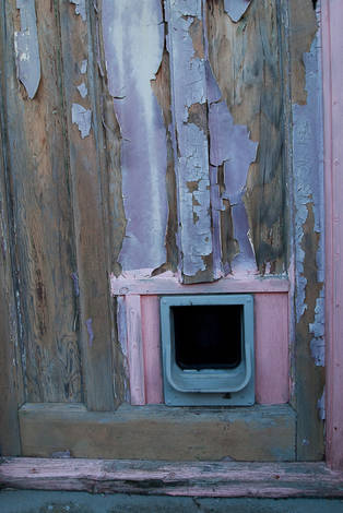 صور منوعة من الإنترنت