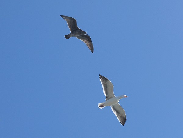 فلنحق معا إلى أرض الأمان !!!