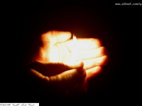 nice_pic_design_photo_78_1_