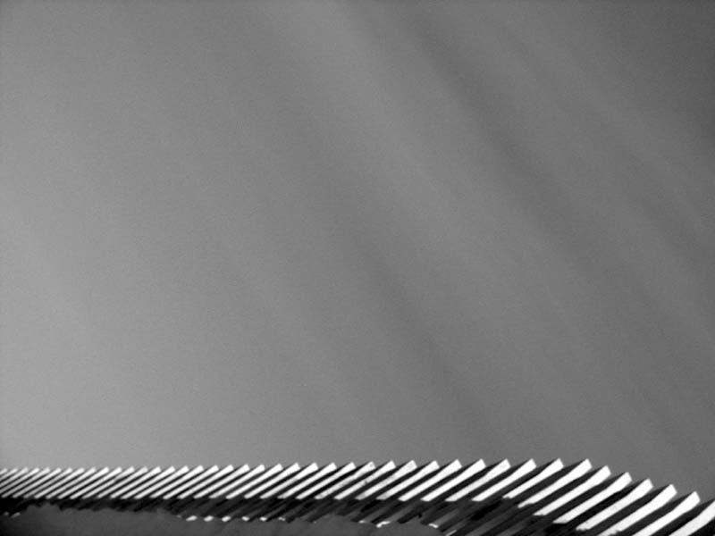 صور منوعة من الإنترنت