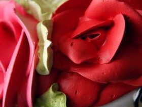 صور منوعة من الإنترنت