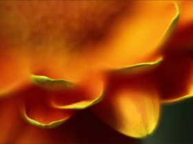 صور منوعة من الإنترنت