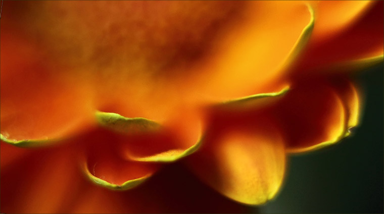 صور منوعة من الإنترنت