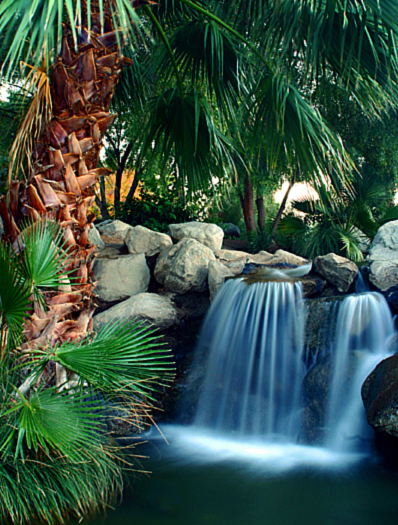 1542337-d63f5bed0cb64974_1_