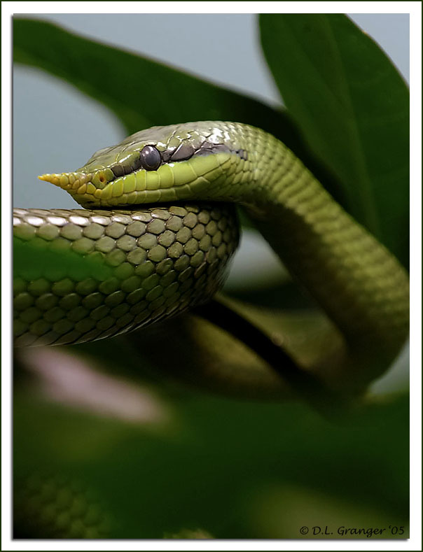 1507000-de8374018ee4d642_1_