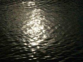 صور منوعة من الإنترنت