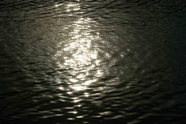صور منوعة من الإنترنت