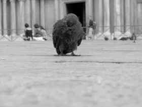 صور منوعة من الإنترنت