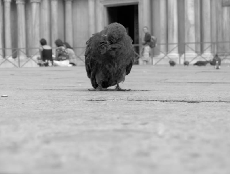 صور منوعة من الإنترنت