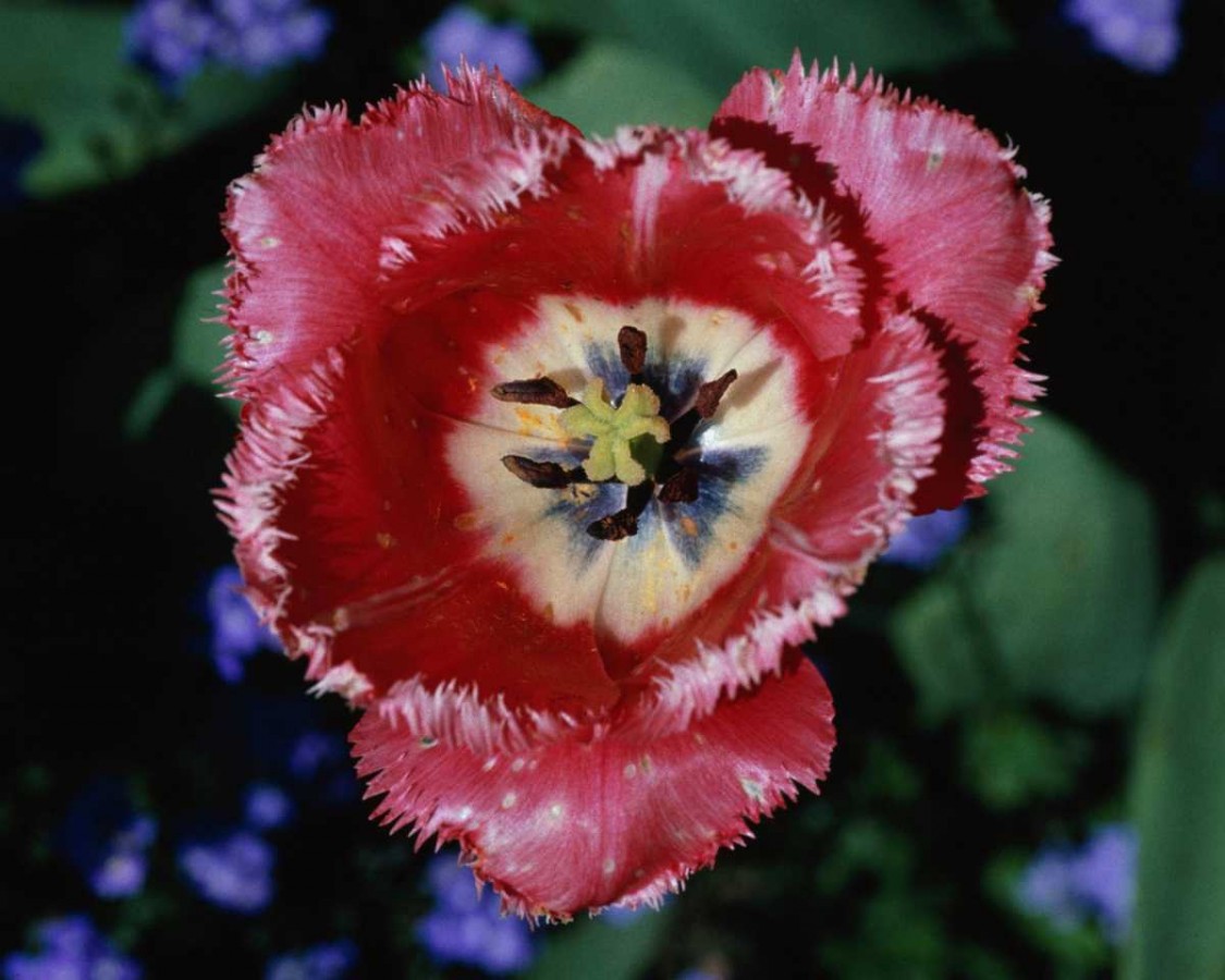 PTBL0091