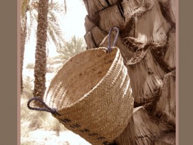 صور من ابداع اعضاء عمان فوتو