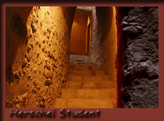 صور من ابداع اعضاء عمان فوتو