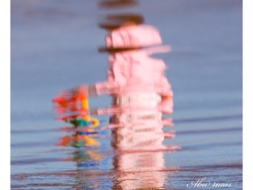 صور من ابداع اعضاء عمان فوتو