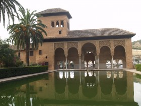 صور من ابداع اعضاء عمان فوتو