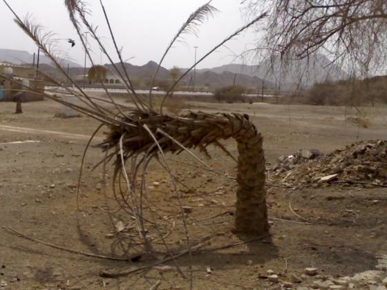 سبحان الله