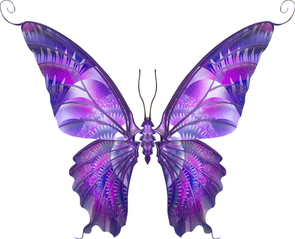 butterfly7