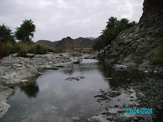 عنوان الصمود
