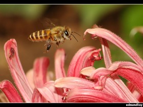 1361595-f8effa93f3e519f2_1_