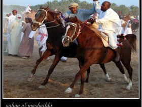 صور من ابداع اعضاء عمان فوتو