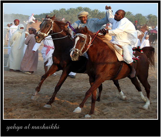 صور من ابداع اعضاء عمان فوتو