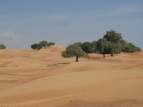 صور من ابداع اعضاء عمان فوتو