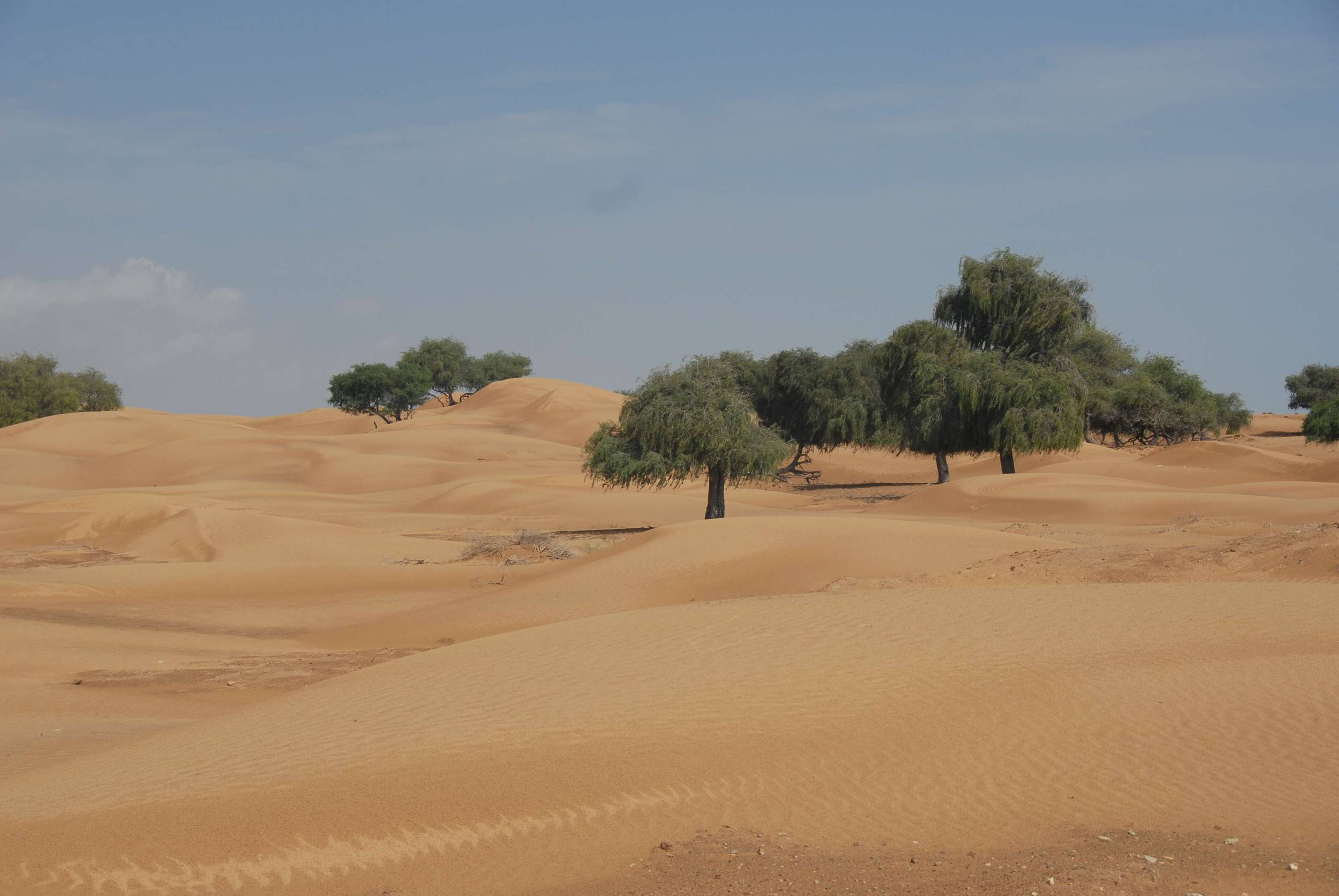 صور من ابداع اعضاء عمان فوتو