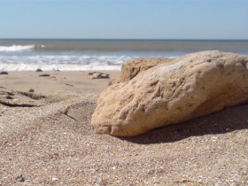 صور منوعة من الإنترنت