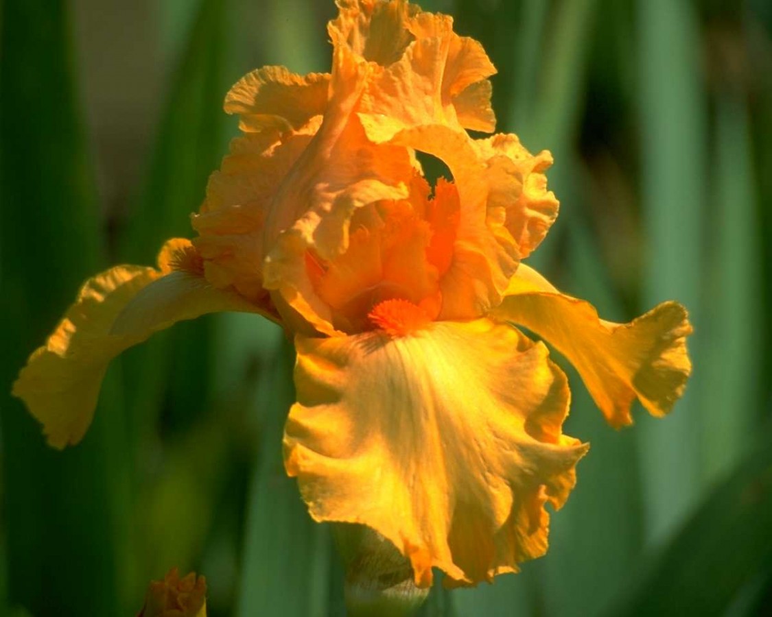 PTBL0107