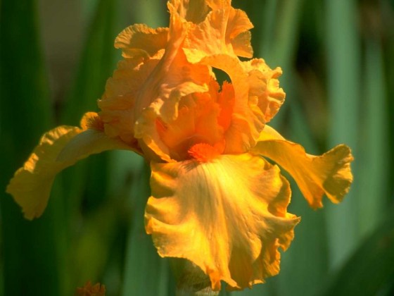 PTBL0107