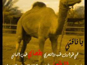 naqt_bent_al-bt7a