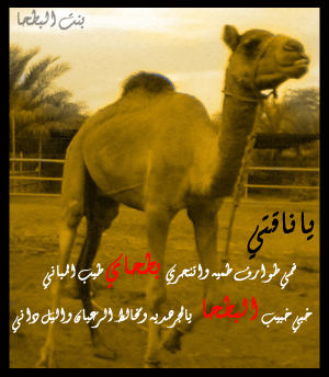 naqt_bent_al-bt7a