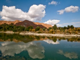 صور من ابداع اعضاء عمان فوتو