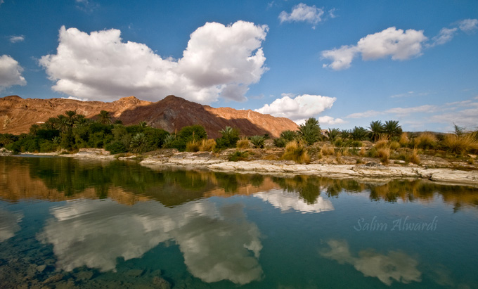 صور من ابداع اعضاء عمان فوتو