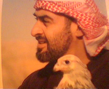 محمد بن زايد