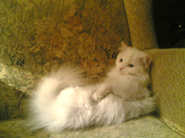 20102006_006_