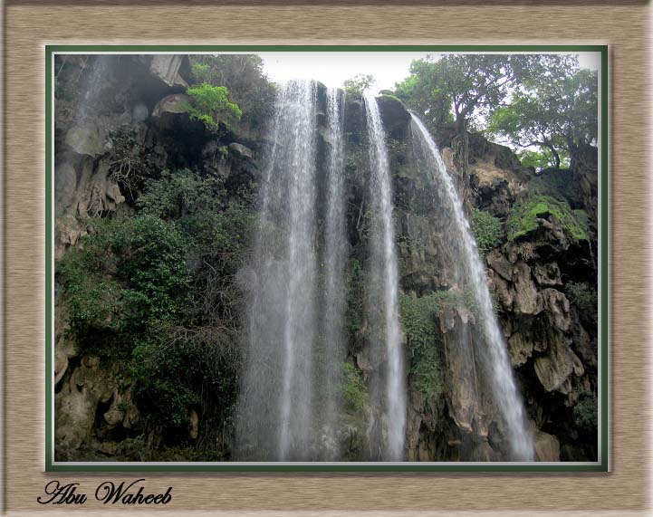 صور من ابداع اعضاء عمان فوتو
