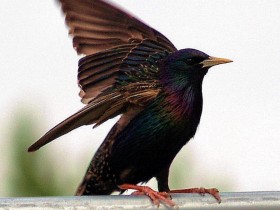 صور منوعة من الإنترنت