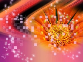 فـــــــــــــــــــــ